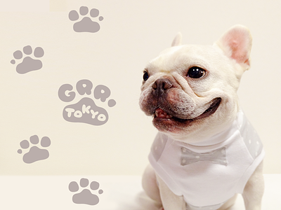 Logo design for Brand New Dog Clothes company in Tokyo logo