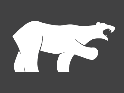 Polar Bear bear polar