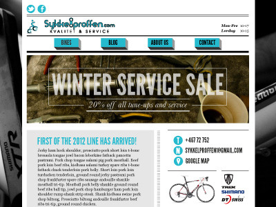 Bike Shop website bikes website