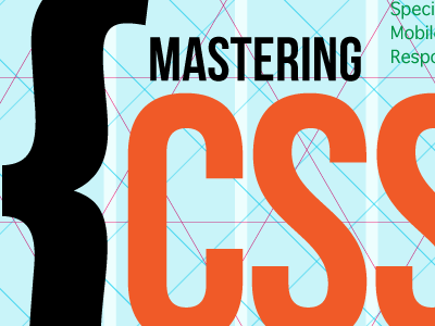 Mastering CSS by Smashing Magazine (Vitaly Friedman) on Dribbble