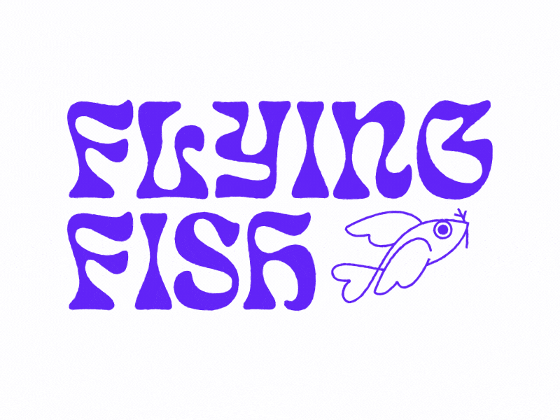 Flying Fish Logo animation branding logo typography