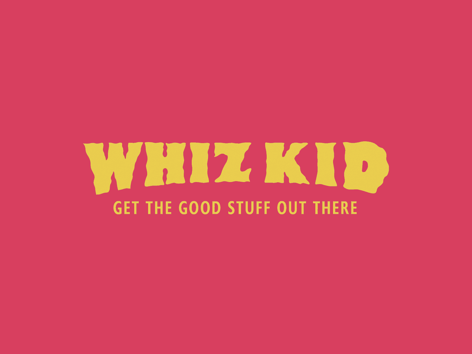 Whiz Kid brand identity branding branding concept branding design design graphic design logo logo design