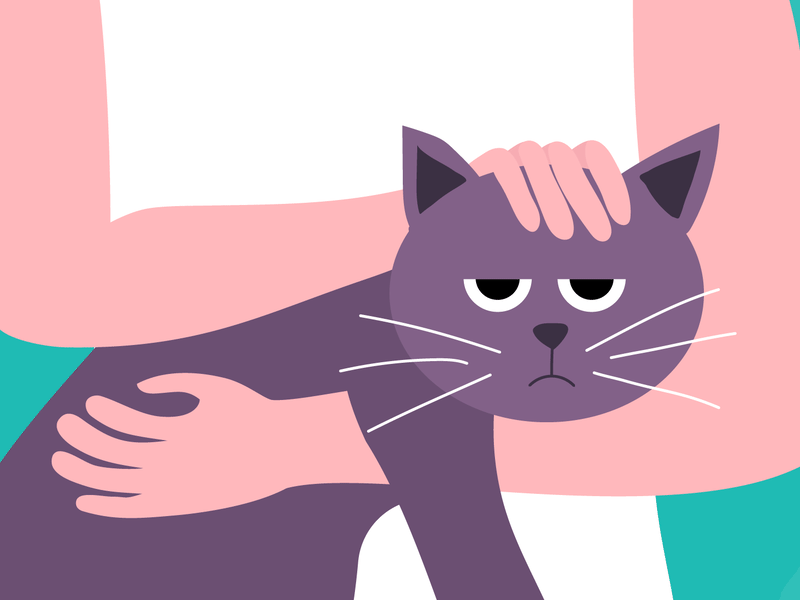 Stroking my cat ae after effects animation 2d cat illustrator