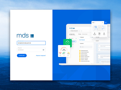 Software redesign - MDS - Axel Springer