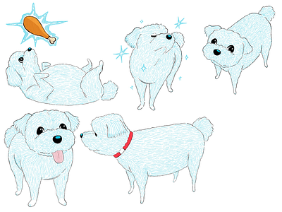 Star Dog animals character design dog illustration puppy