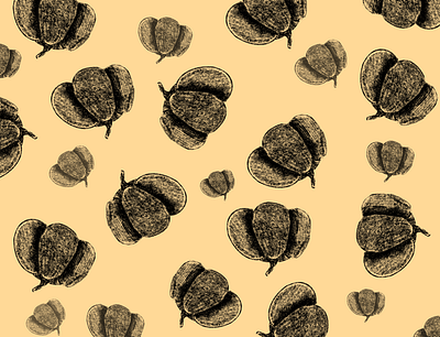raw pumpkin pattern autumn flat graphic illustration illustration art pattern procreate pumpkin sketch texture