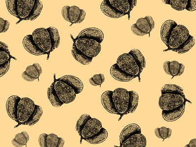 raw pumpkin pattern