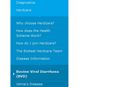 Bovine Viral Diarrhoea (II) critique feedback navigation nested vertical