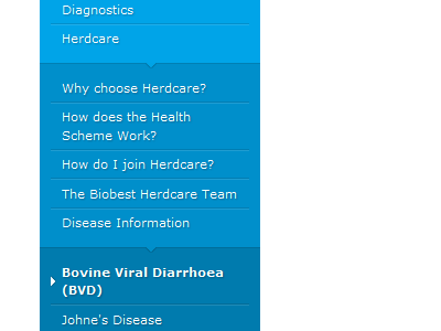 Bovine Viral Diarrhoea (II)