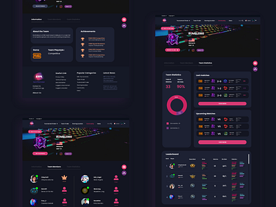 Esports Team Profile design ui user experience design user interface design ux web design website design