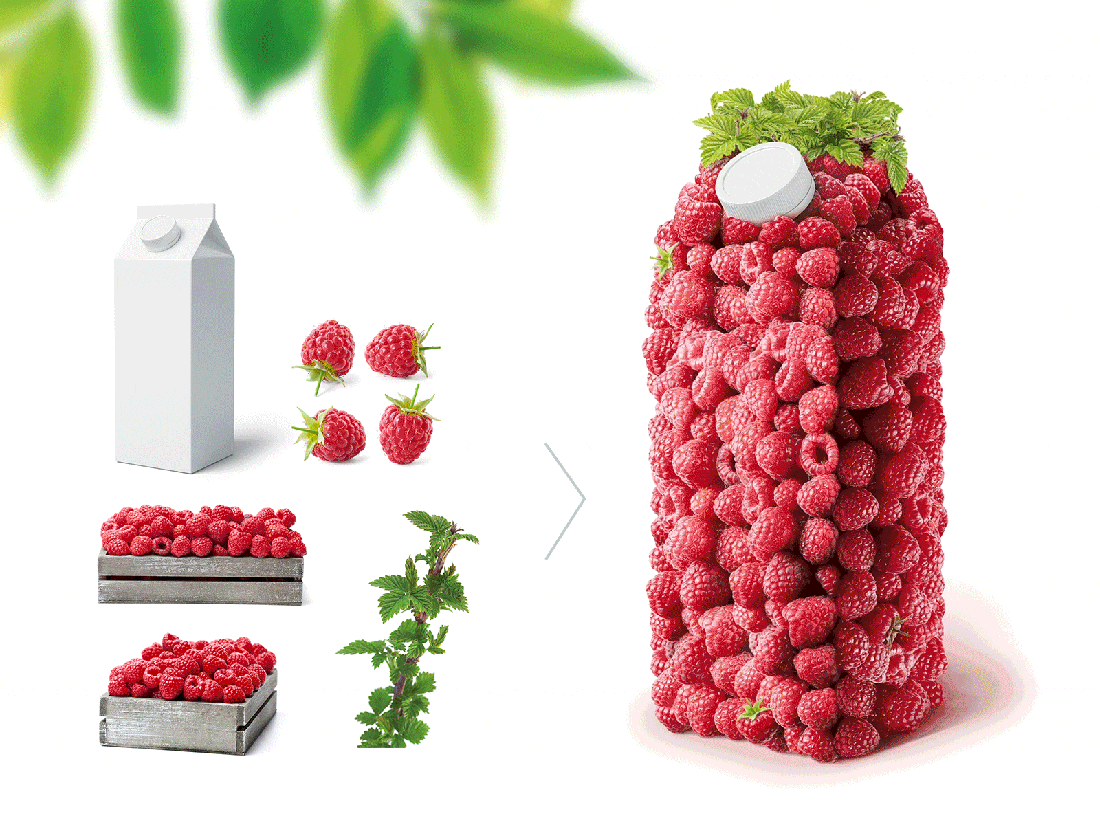 Video Photo Manipulation Raspberry Pack animation berries bottle brik design pack packaging photo manipulation photoshop raspberry retouching