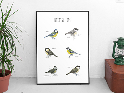 Dribbble birds colour garden nature poster tits wings