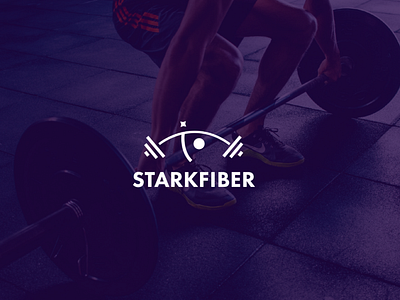 StarkFiber