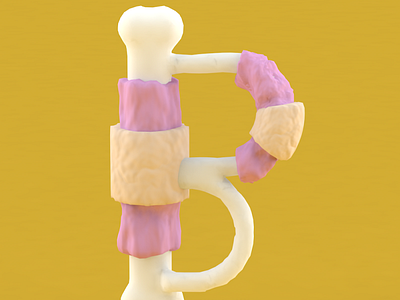 B for bones 36daysoftype 3d art 3d artist abstract art direction body bones cinema4d creative creativity cute design digital art digital artist flesh illustration