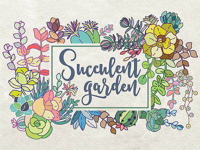 Succulent garden cacti cactus collection floral flower garden succulent vector