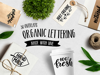 Set of Organic Overlays & Icons bio calligraphy eco ecological food icon lettering natural organis overlays