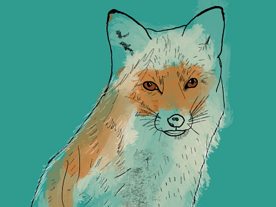 Untitled Artwork animal digital fox illustration procreate wildlife