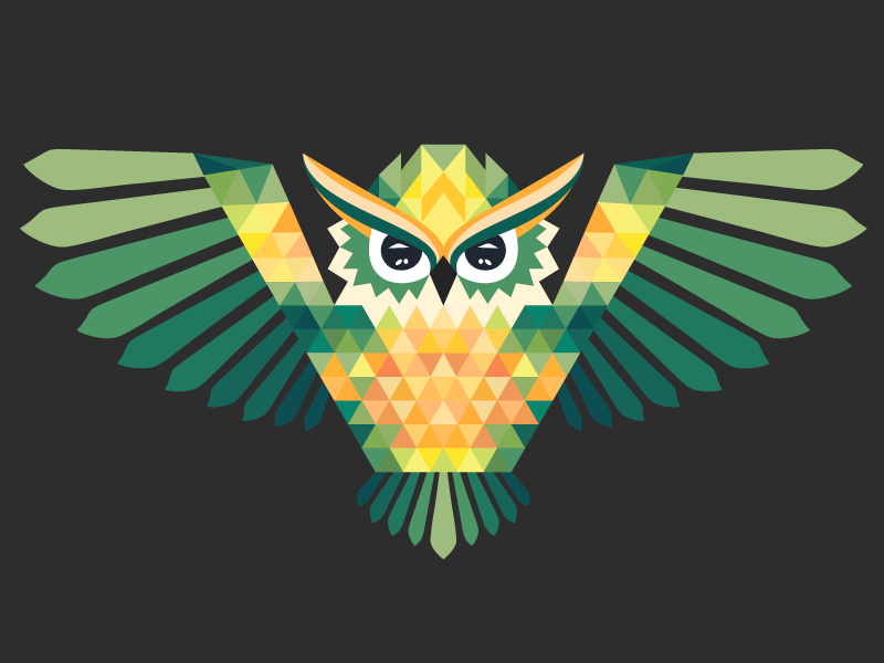 Polygonal Owl by Xleb studio on Dribbble