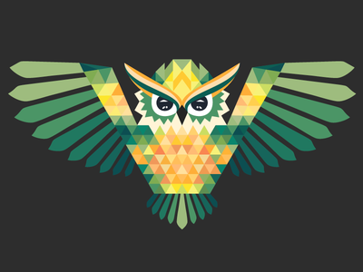 Polygonal Owl