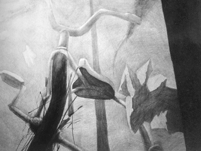 Untitled art charcoaldrawing chiaroscuro drawing graphite drawing illustration tricicle