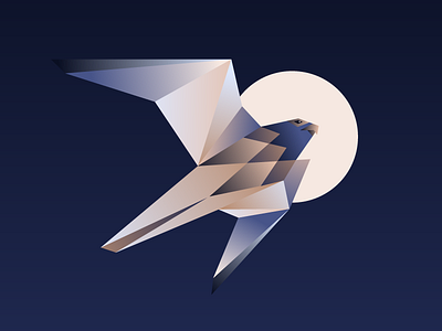 Night Falcon bird digital falcon geometric illustration night raptor