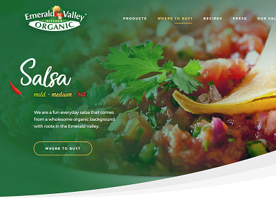 Homepage Design design green homepage salsa