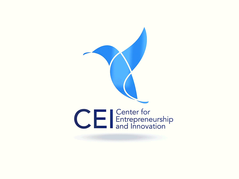 CEI intro after affects aniamtion branding logo