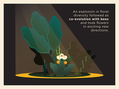Bee Hotel Infographic bee digitalart diversity evolution exotic explainer floral flower forest illustration illustration art infographic night plants storytelling woods
