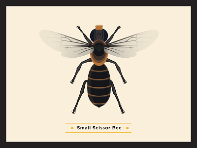 Small Scissor Bee bee bees environment flowers globalwarming icon illustration infographic pollination