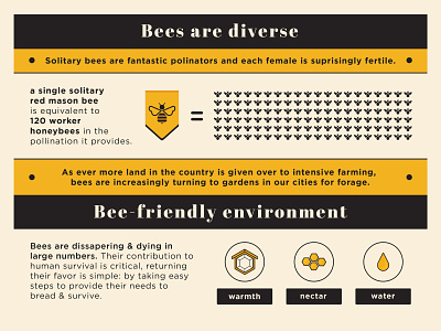Diversity bee bees environment flowers flowershop garden globalwarming hotel illustration infographic infographic design infographics nectar warmth water