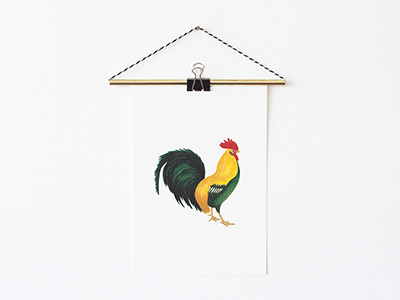 Rooster animal animals chicken coffee giclee illustration morning nice print rooster roosters
