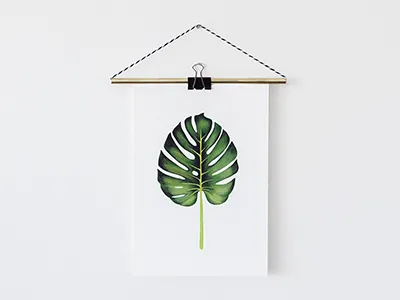 Monstera Leaf botanic forest giclee green illustration leaf monstera plant plants print tropical