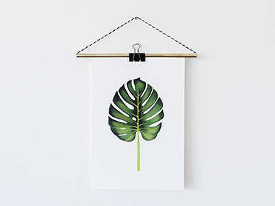 Monstera Leaf botanic forest giclee green illustration leaf monstera plant plants print tropical