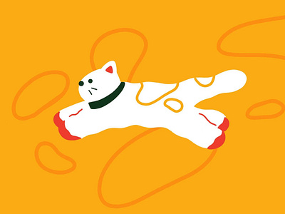 The leaping cat #001