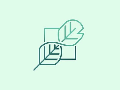 PolyStone Logo branding icon leaf logo logo design plant retail vector