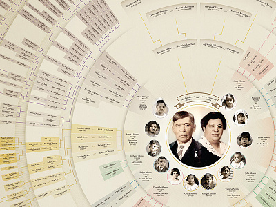 Family Tree Infographic