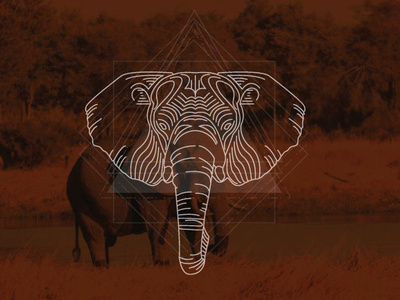 Elephant branding design elephant flatdesign illustration lineart linework logo