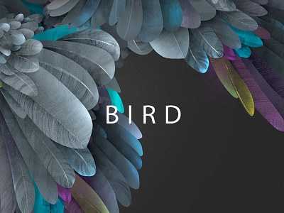 "Life on planet" (bird) bird design eco feather illustrations life on planet nature posters wings