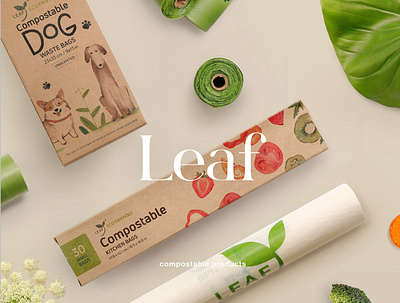 Leaf Canada branding design eco graphic design illustration package design packaging web design