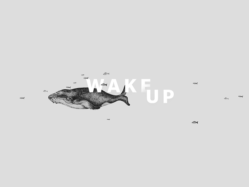 Wake Up art branding enviroment graphic design illustration jdstyle nature wallpaper whale world