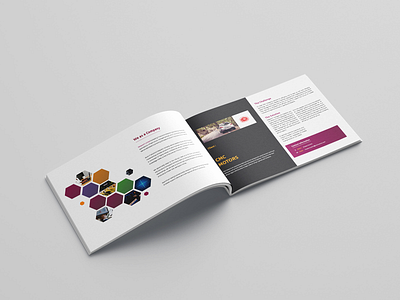 Project profile brochure brand branding clean design identity minimal type typography vector