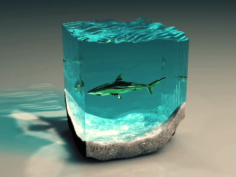 SIG 3d 3d animation 3d art animation c4d character animation cinema4d gif motion render sculpture shark