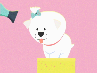 dog salon after effect animate cc animation 2d dog