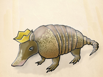 Gnarmadillo armadillo illustration sketch