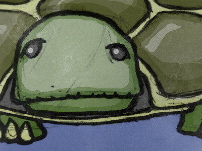 La Tortuga Small illustration photoshop tortoise