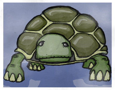 La Tortuga illustration photoshop tortoise