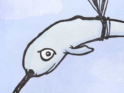 Narwhal, Aloft