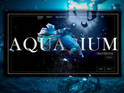 AQUARIUM aquarium blue clean design fish minimal ocean photoshop sea ui uidesigner ux web webdesign webdesigner website