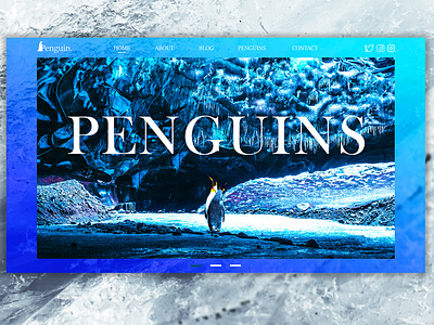 Penguins animals blog blog cover blog design blue clean design flat gradient gradient color minimal penguins photoshop ui uidesigner ux web webdesign webdesigner website