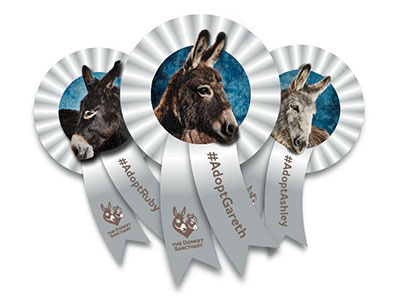 Donkey Sanctuary Ribbons Social Badge donkey ribbons rosette sanctuary social sharing the donkey sanctuary